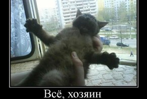 Пятничная подборка демотиваторов 