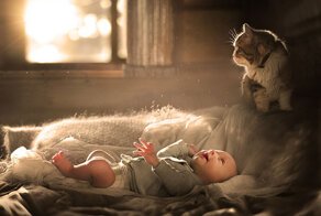 20 фотодоказательств того, что вашим детям нужна кошка