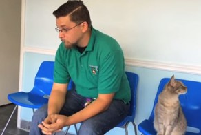 Хозяин воссоединился со своей украденной собакой спустя 8 лет