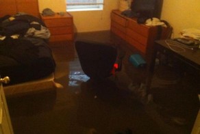 Фотоподборка