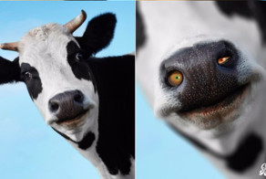 Тяжелая наркомания