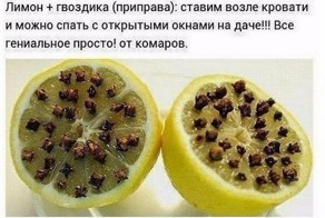 Актуальный совет к лету