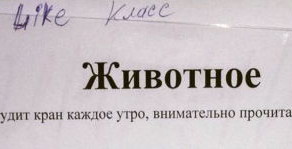 Послание криворукому соседу