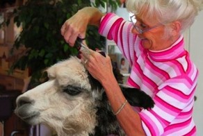 Фотоприкол фото