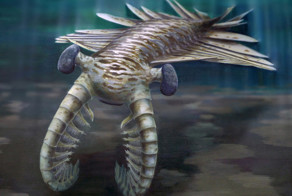 Подробнее об Аномалокарисе