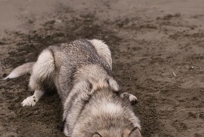 Фотоподборка