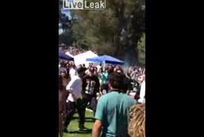 Подборка роликов от 23.04.2013