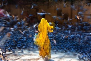 Прекрасные фото