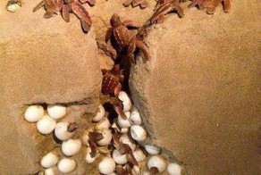 Прекрасные фото