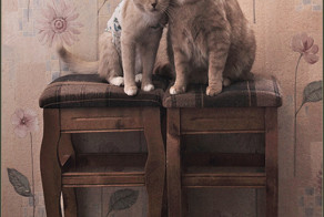 Семейное фото