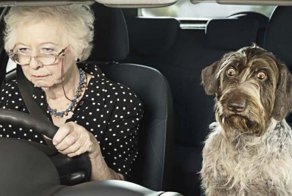 «Как-то раз я остановил пожилую даму за превышение скорости...»