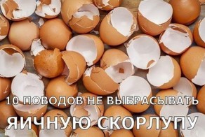 10 поводов не выбрасывать яичную скорлупу