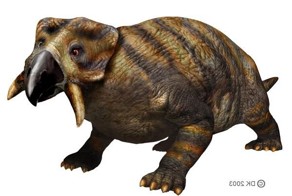 Забытая жизнь. Плацерии