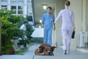 Трогательная аргентинская социальная реклама о донорстве