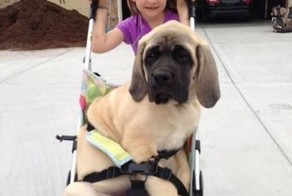 Фотоподборка