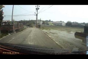 Ушел в рисовое поле