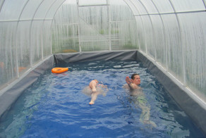 Правильная теплица