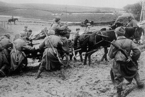 Лошади – участники Великой Отечественной войны