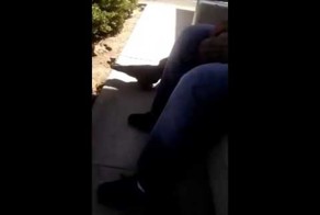 Ворона говорит &quot;Fuck you&quot; 