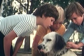 10 самых грустных советских фильмов