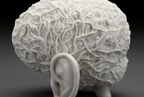 Отрава, которая живет в Вашем мозге 3 года