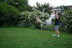 Прикольные фото