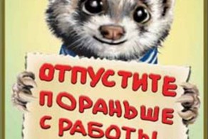 Короткая пятница