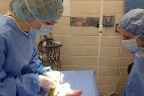 Фотоприкол дня