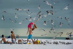 Фотоальбом