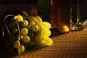 Российские виноделы захватывают мир