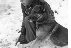 &quot;Баллада о фашисткой овчарке&quot;. Михаил Беляев