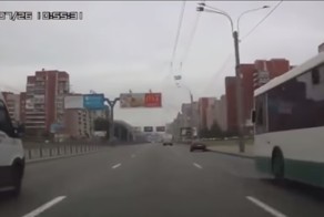 Животные на дороге! Человеческая доброта