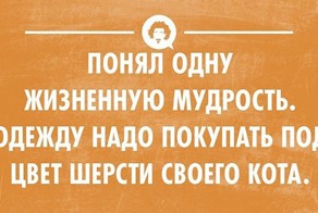 20 весёлых открыток на все случаи жизни