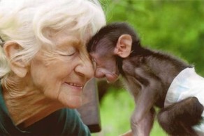 Фотоприкол онлайн