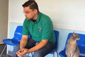 Пес 8 лет скитался в поисках хозяина, и наконец случилось невероятное