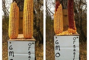 Фотоприкол недели