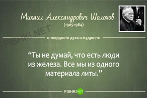 15 цитат Шолохова о том, как сохранять стабильность в нестабильности