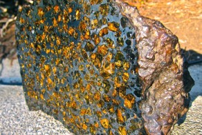 20 самых разных вещей в разрезе