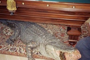 Редкие кадры, открывающие историю с другой стороны