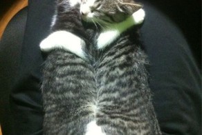 Шикарное фото