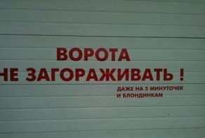 Смешная фотогалерея