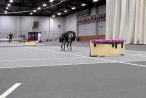 Робот &quot;Cheetah&quot; научился прыгать через препятствия