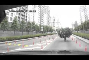 Такого я еше не видел