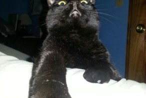 Фото прикол