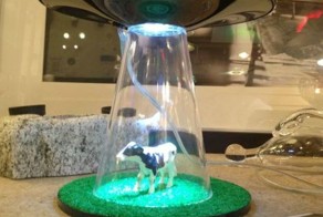 Прикольные фото и картинки от zubrilov за 29.04.2013 №154939