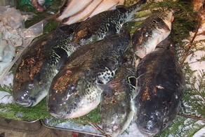 Деликатес. Самые изысканные лакомства мира