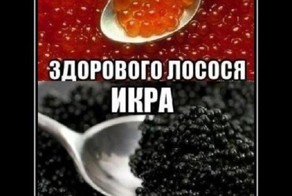 13 фактов о борцах с курением, подмеченных их друзьями