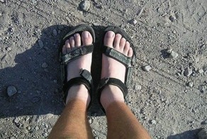 Летняя пора