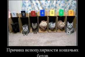 Подборка демотиваторов 