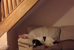 С папой даже невыполнимая миссия выполнима! 